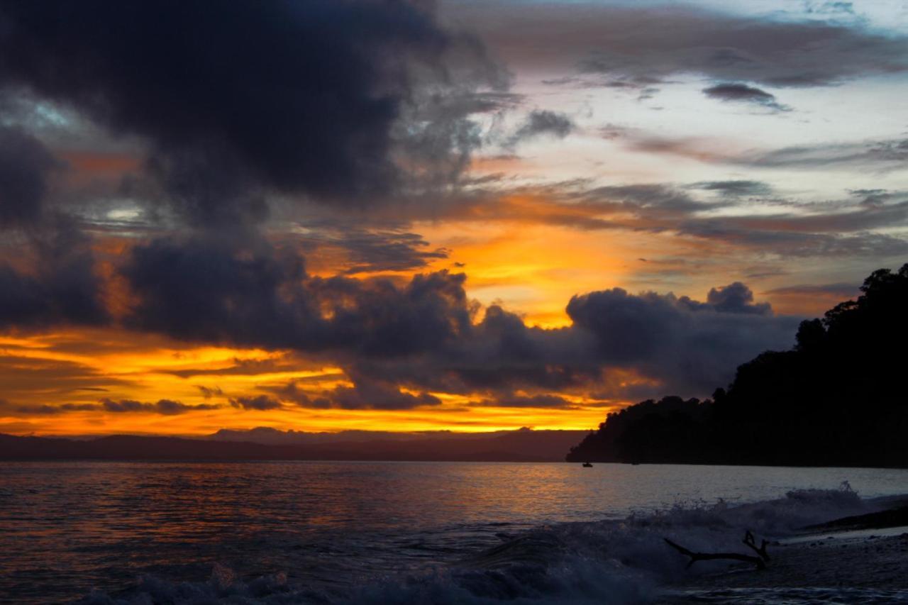 فيلا Dolphin Quest Costa Rica Piedras Blancas المظهر الخارجي الصورة