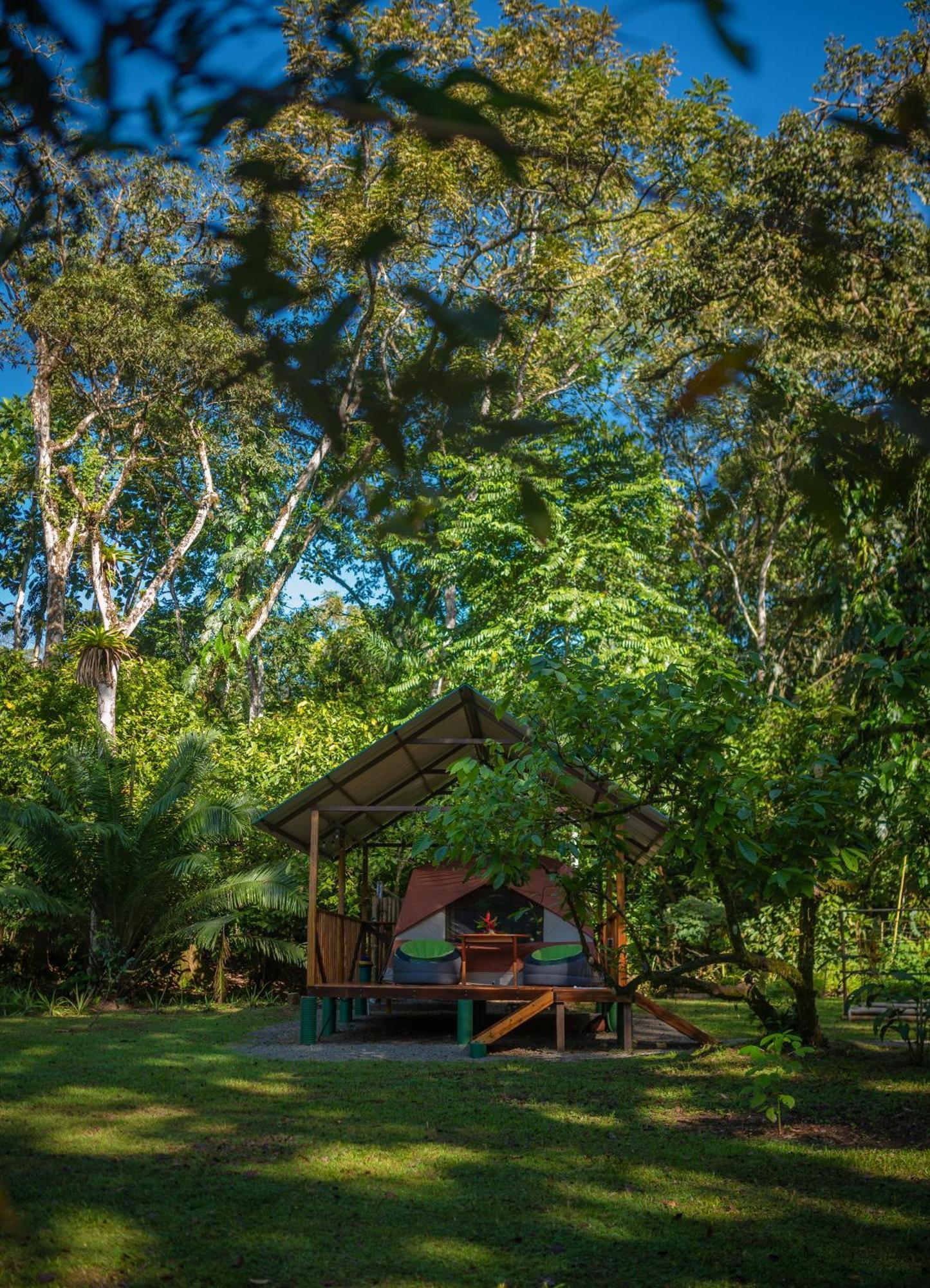 فيلا Dolphin Quest Costa Rica Piedras Blancas المظهر الخارجي الصورة